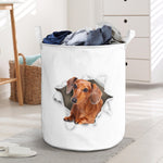 Dachshund2 - Tornpaper - LB