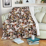 American Bulldog 1 Full Face Blanket