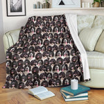 Landseer Full Face Blanket