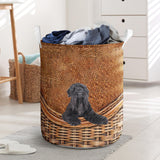 Black Russian Terrier - Rattan - LB