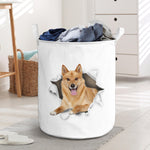 Finnish Spitz - Tornpaper - LB