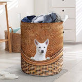 Canaan Dog - Rattan - LB