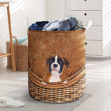 Boxer - Rattan - LB