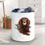 Boykin Spaniel - Tornpaper - LB