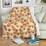 Pomeranian Full Face Blanket