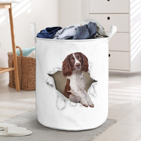 English Springer Spaniel - Tornpaper - LB