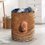 Vizsla - Rattan - LB