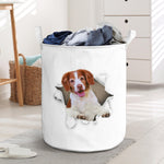 Brittany Spaniel - Tornpaper - LB