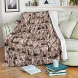 Weimaraner Full Face Blanket