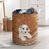 Cavachon - Rattan - LB