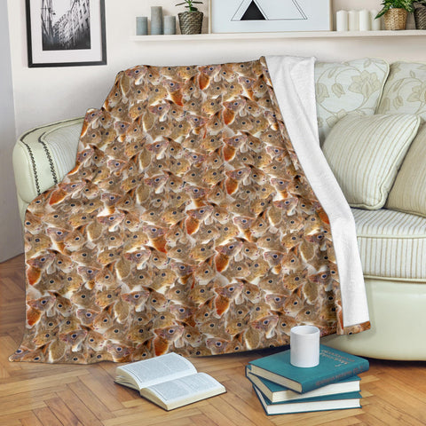 Squirrel Full Face Blanket