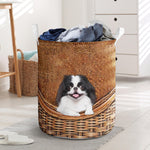 Japanese Chin - Rattan - LB