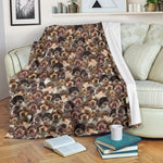 Lagotto Romagnolo 2 Full Face Blanket