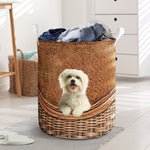 Maltese - Rattan - LB