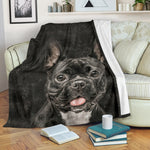 French Bulldog - Blanket - 1177