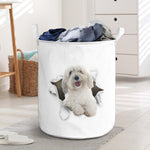 Coton De Tulear - Tornpaper - LB