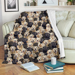 Labrador Retriever Full Face Blanket