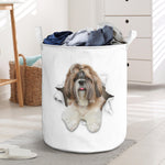 Shih Tzu3 - Tornpaper - LB