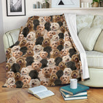 Labradoodle Full Face Blanket