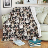 Border Collie - Blanket - 1358