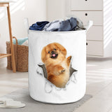 Pekingese - Tornpaper - LB