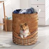 Rough Collie - Rattan - LB