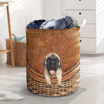 English Mastiff - Rattan - LB