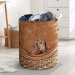 American Water Spaniel - Rattan - LB