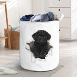 Black Toy Poodle - Tornpaper - LB