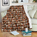 Bracco Italiano Full Face Blanket