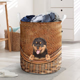 Rottweiler - Rattan - LB