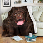 Labrador - Blanket - 1151