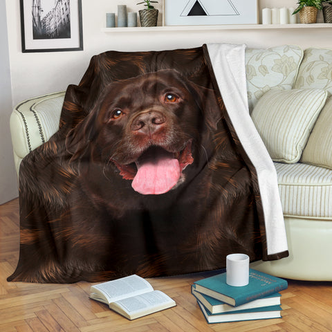 Labrador - Blanket - 1151