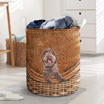 Lagotto Romagnolo - Rattan - LB