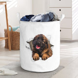 Leonberger - Tornpaper - LB