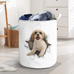 Cavachon - Tornpaper - LB