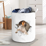 Treeing Walker Coonhound - Tornpaper - LB