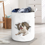 American Bulldog - Tornpaper - LB