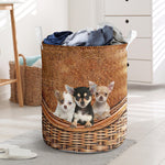 Chihuahua - Rattan - LB