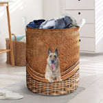 Laekenois dog - Rattan - LB