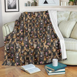 Malinois Dog Full Face Blanket