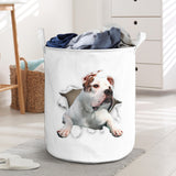 American Bulldog1 - Tornpaper - LB