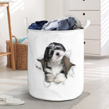 Havanese and white - Tornpaper - LB