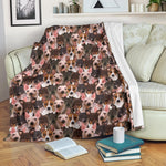 American Hairless Terrier Full Face Blanket