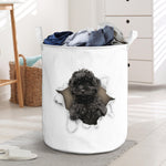 Cavapoo - Tornpaper - LB