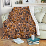 Rhodesian Ridgeback Full Face Blanket