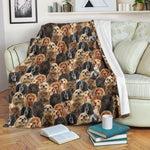 English Cocker Spaniel 2 Full Face Blanket