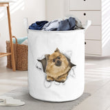 German Spitz - Tornpaper - LB