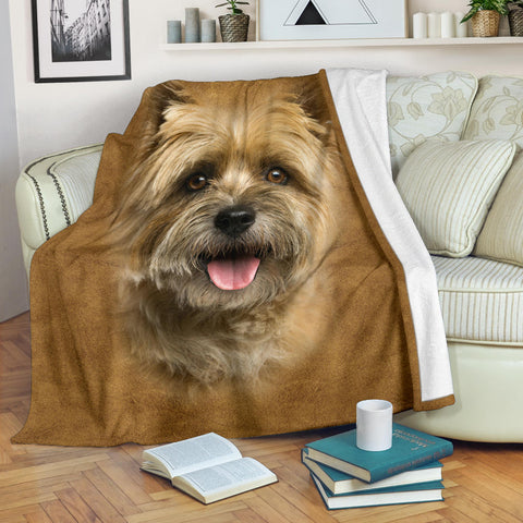 Cairn Terrier 2 Face Hair Blanket