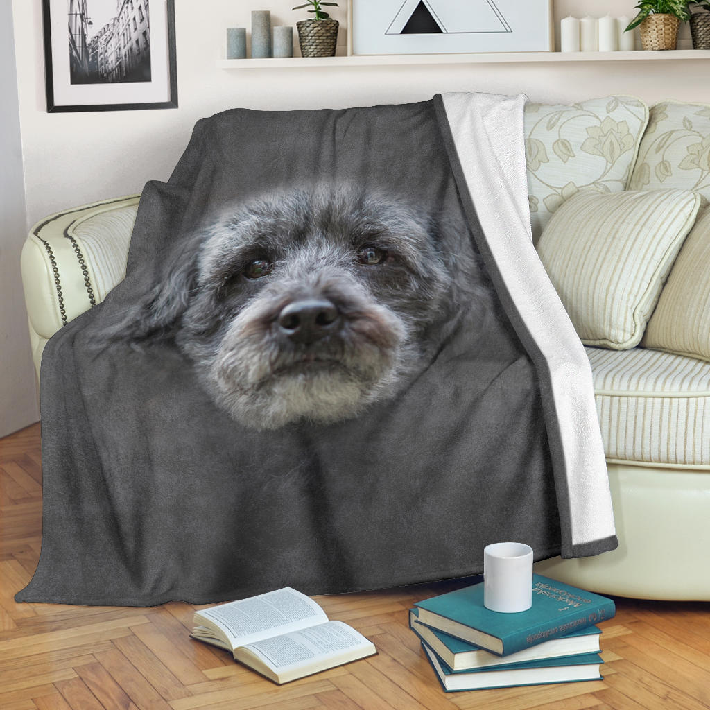 Schnoodle Face Hair Blanket